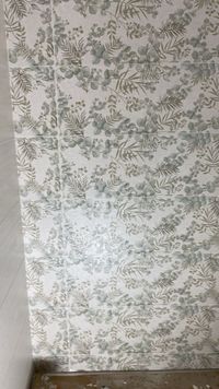 Image 2025-01-16 at 10.16.08